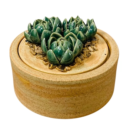 Шкатулка «Суккуленты №1», 10 см, керамика, фото 1.