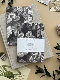 Блокнот «Hexacoralla», А6, черно-белый