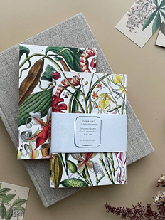 Блокнот «Орхидеи», А6