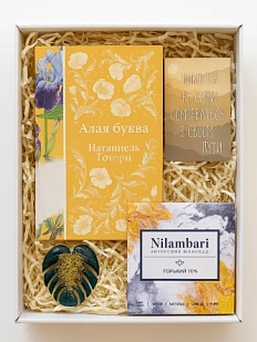 Подарочный набор с книгой «Алая буква», брошью и шоколадом