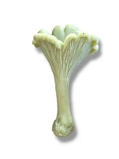 Свеча «Гриб Лисичка» цвета хаки