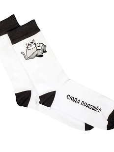 Носки с котиком «Сюда подошёл», р-р 35-40