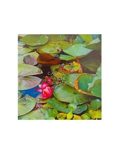 Квадратная открытка «Слушай своё сердце»