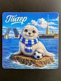 Магнит СОКОЛ (Falcon home) «Нерпа»