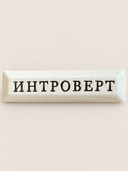Значок ручной работы Искусство интроверта с надписью «Интроверт», керамика, фото 1.