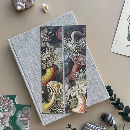 Закладка «Actiniae» №3, фото 2.