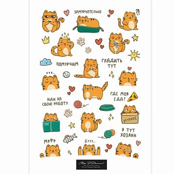 Стикерпак «Котик», фото 1.