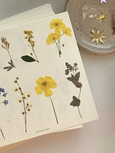 Стикерпак «Цветы», 10 х 10 см