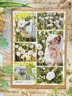 Стикерпак Лавкот «Василиса», А6