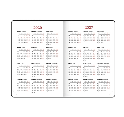 Ежедневник датированный 2026 BRAUBERG «Sparkle», бирюзовый, А5, фото 8.