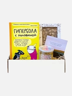 Подарочный набор на 23 февраля с книгой «Гипербола с половиной» и сладостями