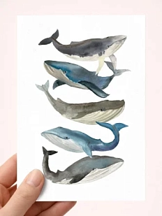 Открытка DARI DARI «Киты», А6