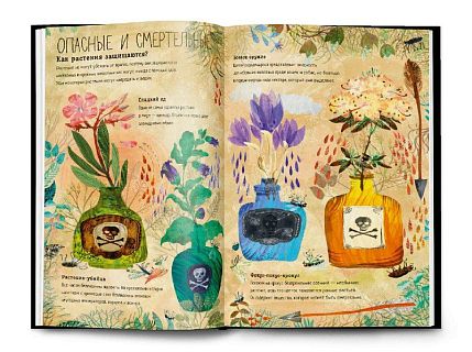 Большая книга цветов, фото 3.