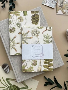 Блокнот «Hepaticae», А6