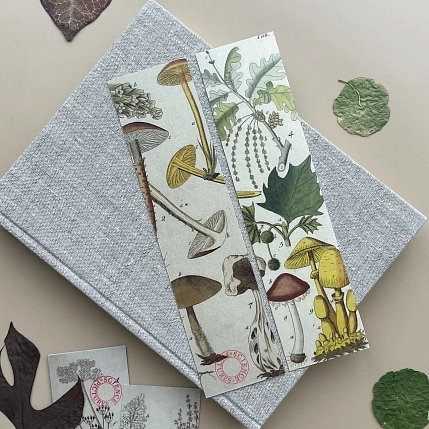 Закладка «Грибы» № 2, фото 2.