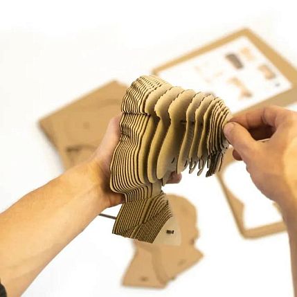 Картонный конструктор 3D «Эйнштейн», фото 4.