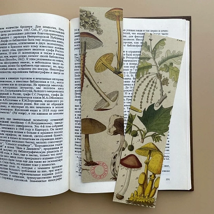 Закладка «Грибы» № 2, фото 1.