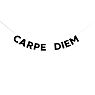 Гирлянда «CARPE DIEM», превью фото 1