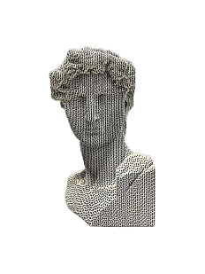 Собранный картонный бюст 3D «Давид»