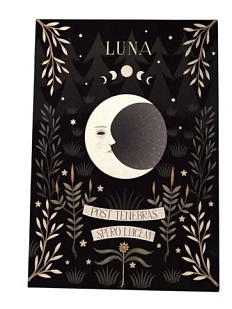 Открытка «Луна», Дворникова Александра