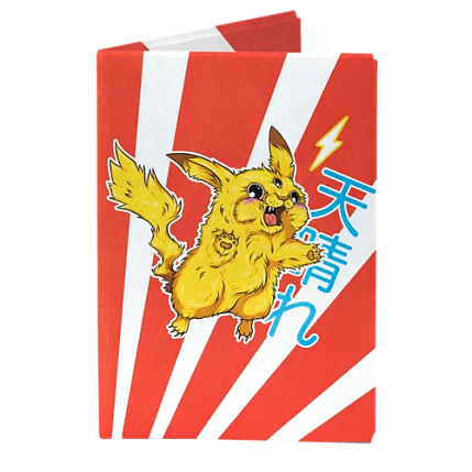 Обложка на паспорт «New Pokemon», фото 1.