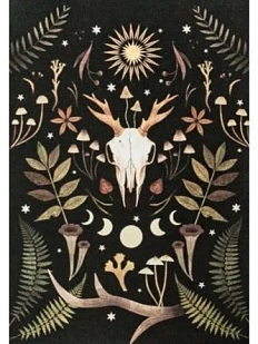 Мини-постер «Череп оленя», Дворникова Александра