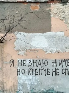 Открытка «Я не знаю ничего»