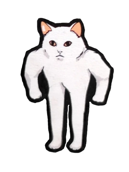 Значок WAF WAF «Кот-амбал», фото 1.