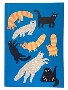 Скетчбук Валя Карнавалова «Коты», А5, 200 страниц