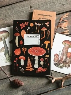 Блокнот «Мухомор», А5, 42 листа, чёрный