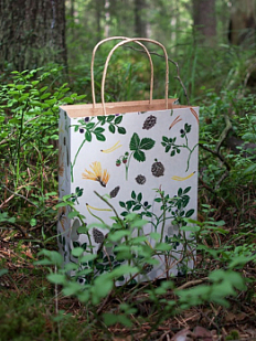 Крафт-пакет «Черничная поляна»