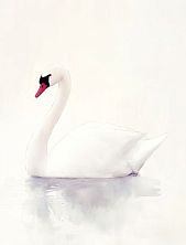 Картхолдер двойной DARI DARI «Белый лебедь», экокожа