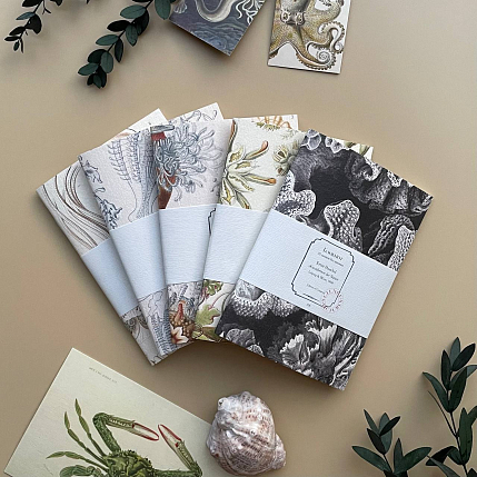 Блокнот «Narcomedusae», А6, бежевый, фото 2.