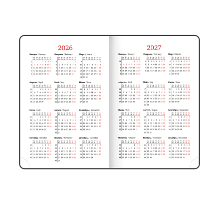 Ежедневник датированный 2026 BRAUBERG «Sparkle», серебристый, А5, фото 8.