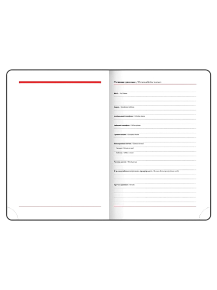 Ежедневник недатированный BRAUBERG «Rainbow», зелёный, А5, фото 3.