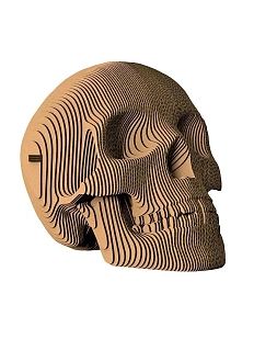 Картонный конструктор 3D «Роджер»