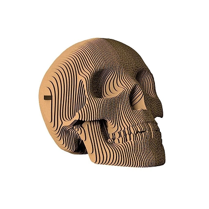 Картонный конструктор 3D «Роджер», фото 1.