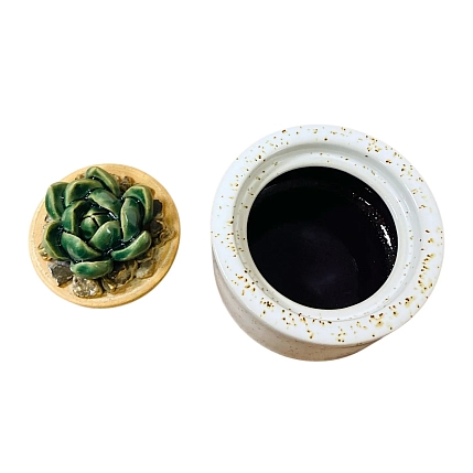 Шкатулка «Суккуленты №1», 7 см, керамика, фото 4.