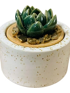 Шкатулка «Суккуленты №1», 7 см, керамика