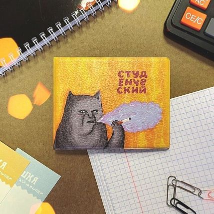 Обложка на студенческий «Котик с сижкой», фото 2.