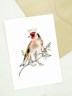 Открытка Наталья Филипович «Щегол королевский», А6