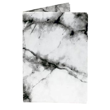 Обложка на паспорт «New Moonlight», фото 1.