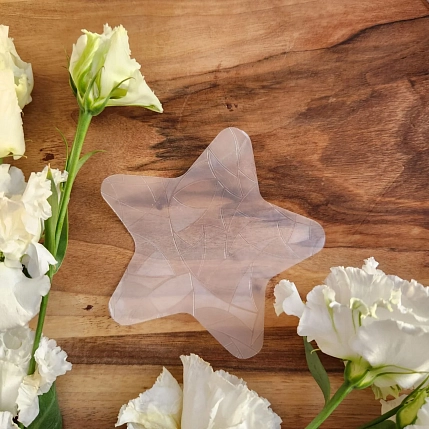 Ловец солнца «Звёздочка», фото 2.