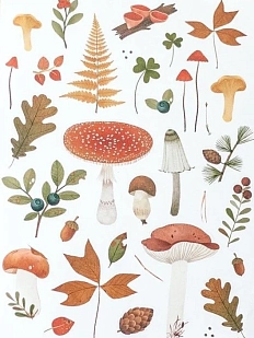 Стикерпак «Мухомор и ягоды»