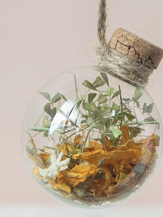 Ёлочный шар Зачарованные шары «Надежный», 6 см