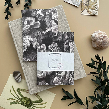 Блокнот «Hexacoralla», А6, черно-белый, фото 1.