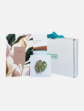 Подарочный набор с блокнотом «101 заветное желание» №2 и брошью ручной работы «Монстера»