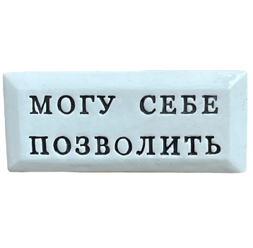 Значок ручной работы Искусство интроверта с надписью «Могу себе позволить», керамика, фото 1.