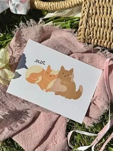 Открытка «Мы - котики», А6