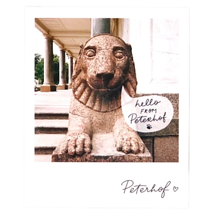 Открытка Подписные изделия «Лев. Фото полароид», фото 1.